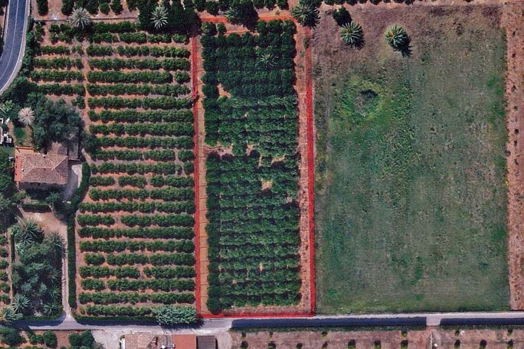 Land in Alicante - Image 2