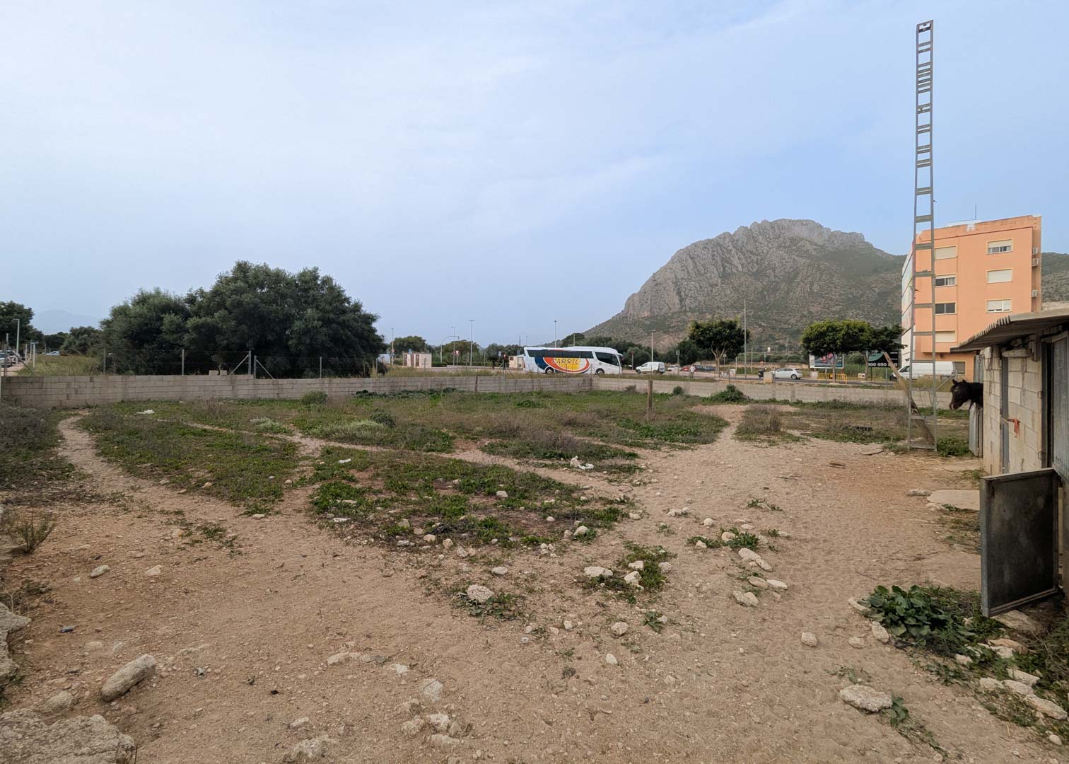 Land in Vergel - Image 3