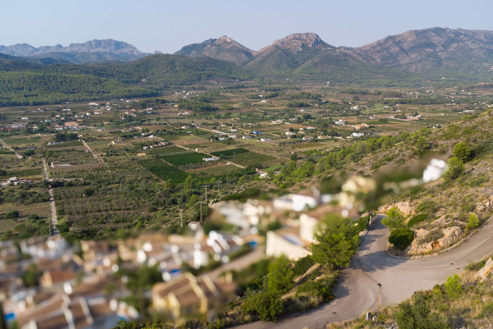 Land in Jalon - Image 4